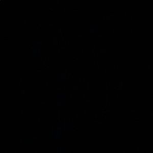 Meet your Posher, Faith